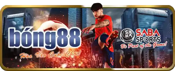 Phân tích Quần vợt